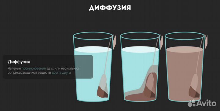 Репетитор по Физике Онлайн