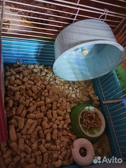 Клетка для грызунов