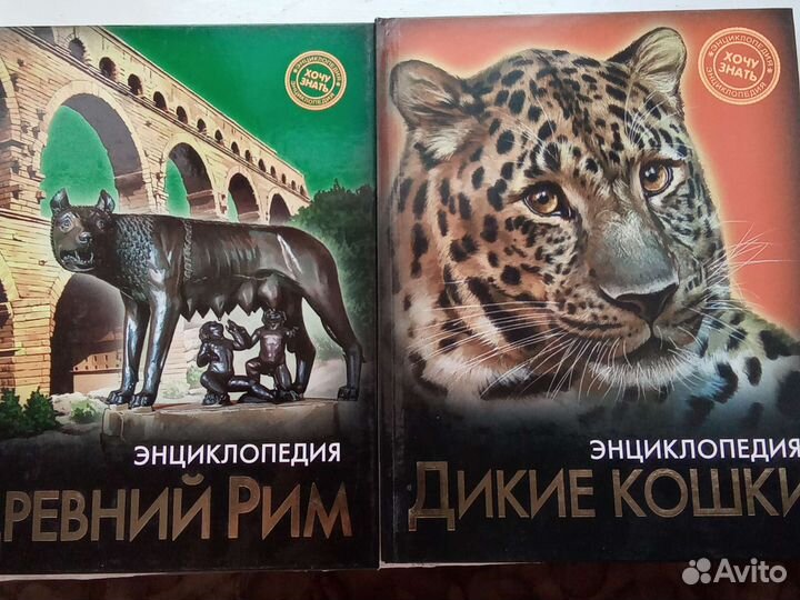 Книги фэнтези