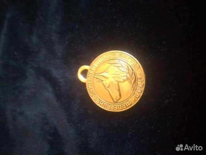 Винтаж СССР значек федерации собаководства