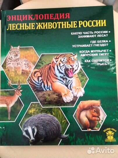 Энциклопедии для детей