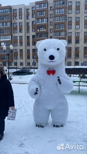 Выступление Белого медведя