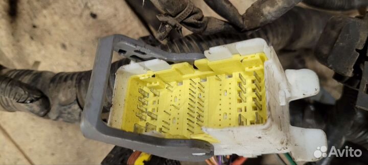 Проводка коса подкапотная Nissan Note E11 cr14de