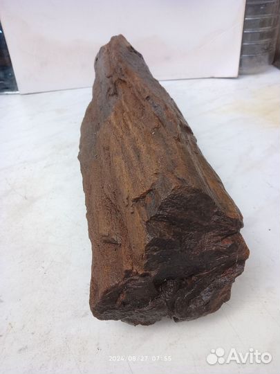 Кусок окаменелой древесины