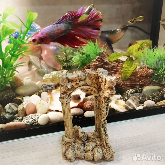 Аксессуары для аквариума:ракушки,грот,растения