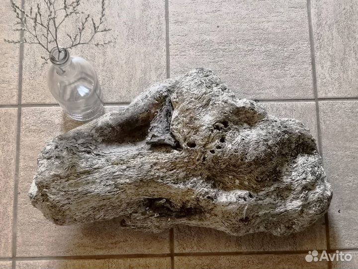 Арт-объект Морское Дерево большой дрифтвуд