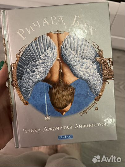 Чайка Джонатан Ливингстон