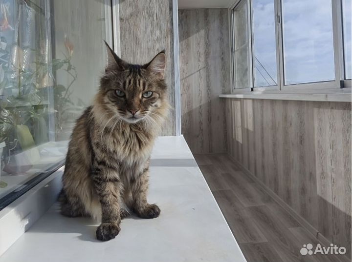 Остекление балкона, лоджии