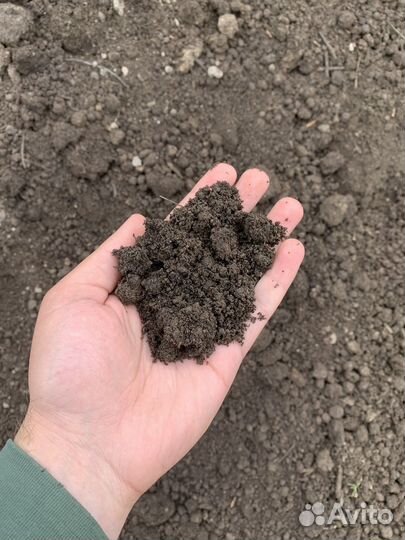 Земля плодородная