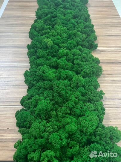 Декоративные панели со стабилизированным мхом