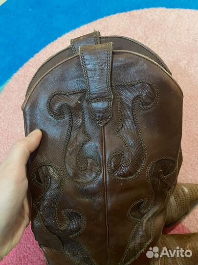 Казаки из кожи крокодила