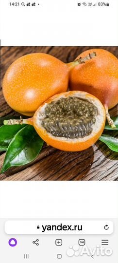 Гранадилла семена и саженцы