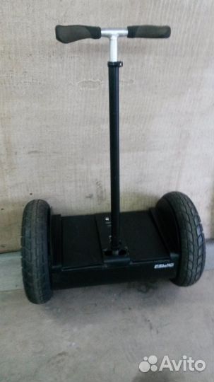 Segway Eswing