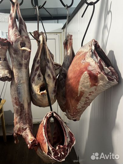 Мясо телятина баранина свежая