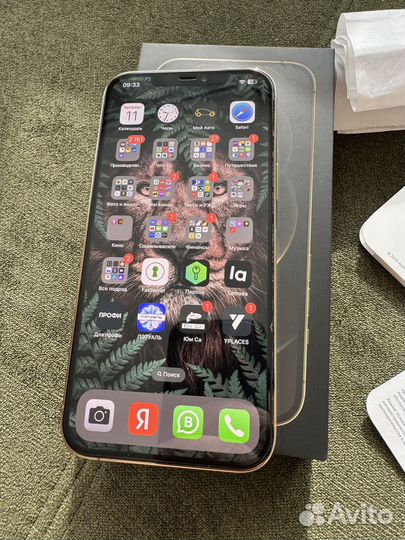 iPhone 12 Pro Max, 256 ГБ