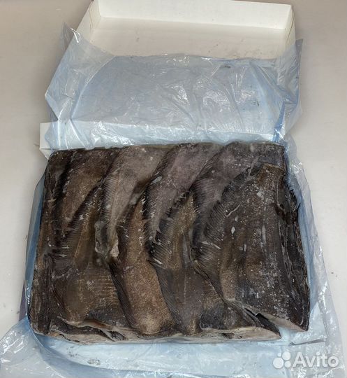 Палтус (Тушка) Синекорый/Чёрный/ Гренладский