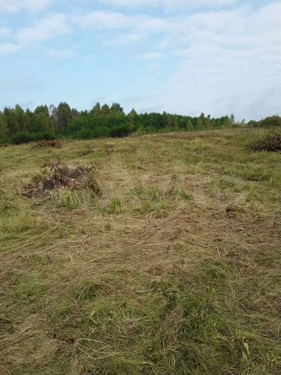 Участок 3 га (СНТ, ДНП)