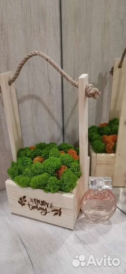 Кашпо со мхом