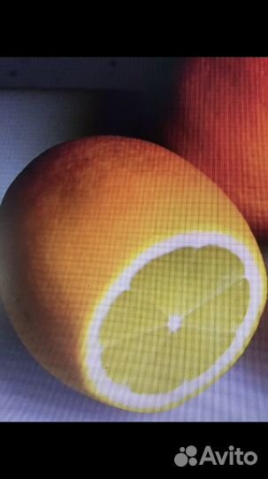 Ростки лимона