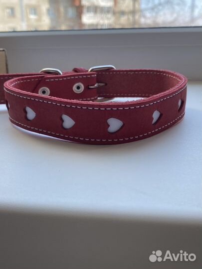 Ошейник для собак