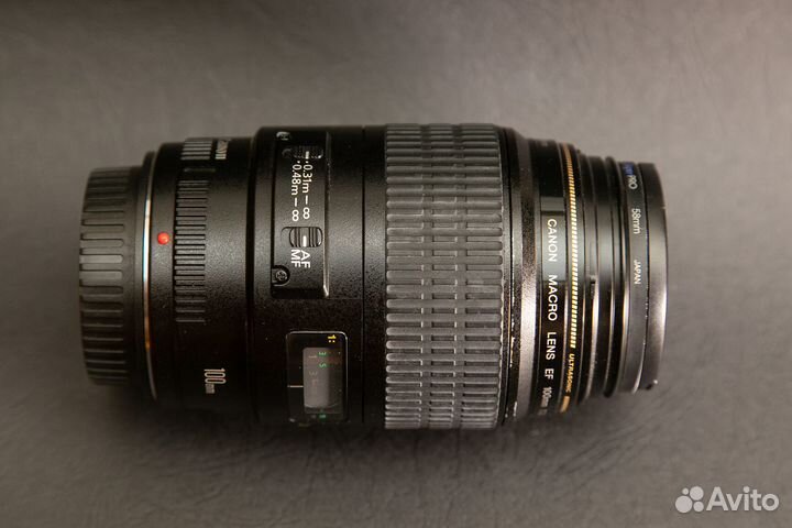 Canon 100mm 2.8 macro