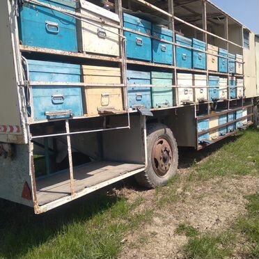 Павильон для пчел