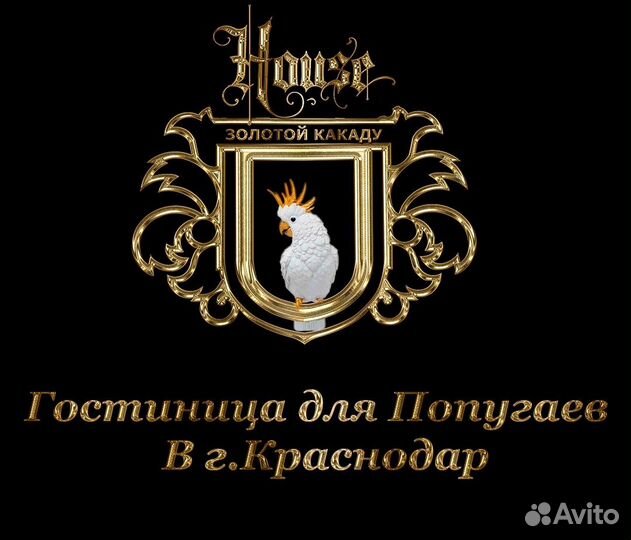 Гостиница для попугая