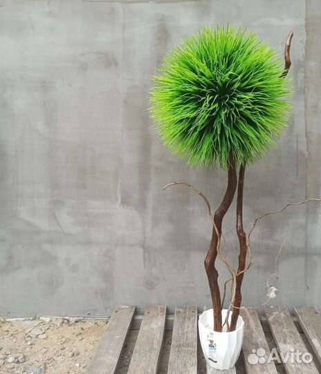 Искусственные деревья. Самшит