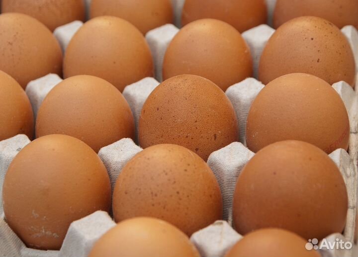 Упаковщица/к вахта