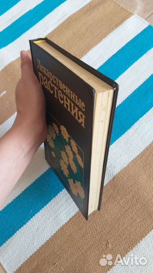 Лекарственные растения Н.И.Гринкевич