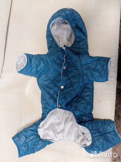 Комбинезон для собаки