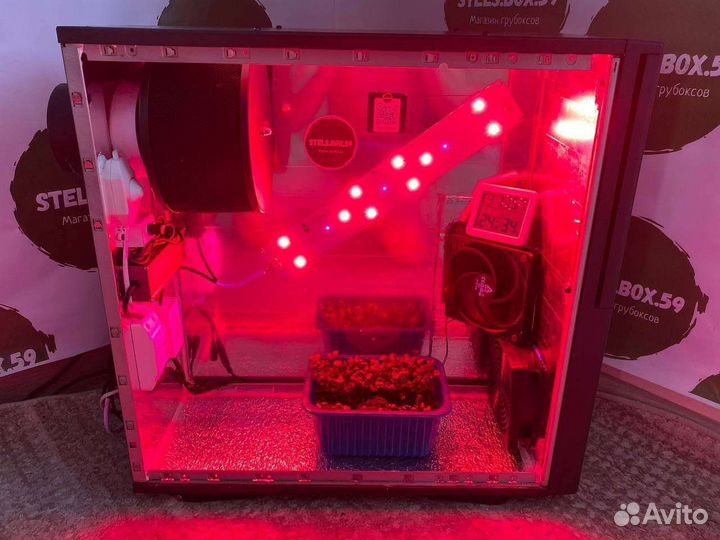 Гроубокс под ключ, stelsbox, growbox