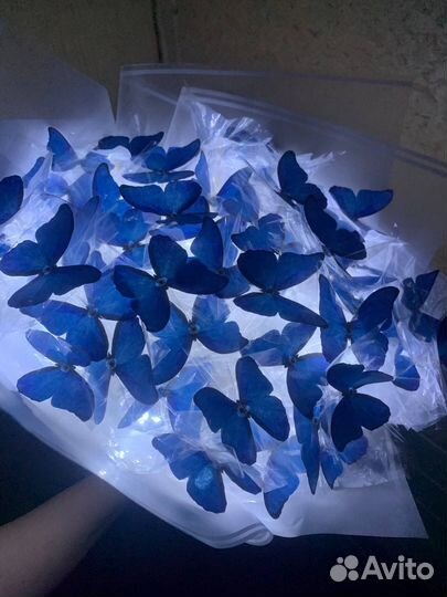 Букет из бабочек