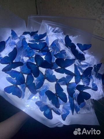 Букет из бабочек