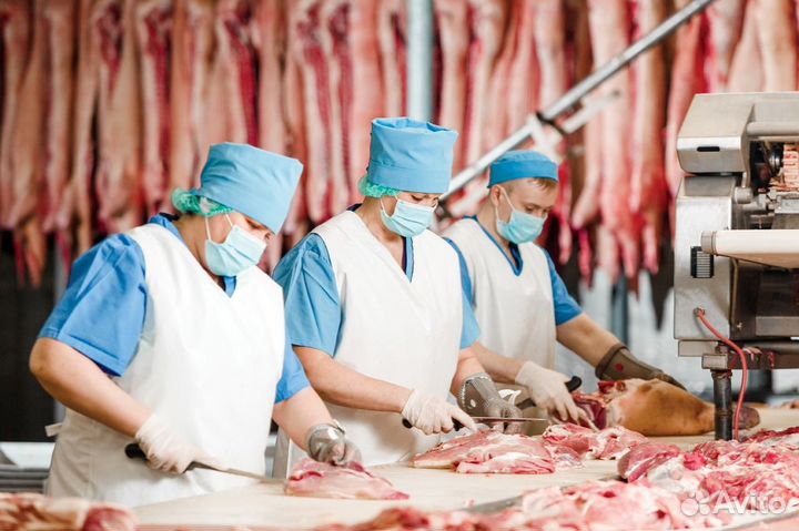Работа в Черкесске жиловщик/мясокомбинат