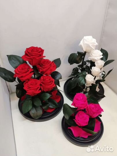 Роза в колбе/подарок