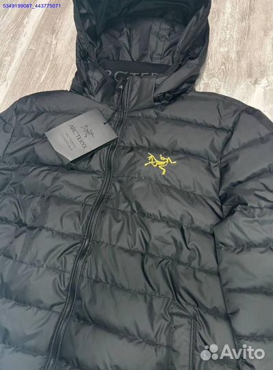 Куртка Arcteryx