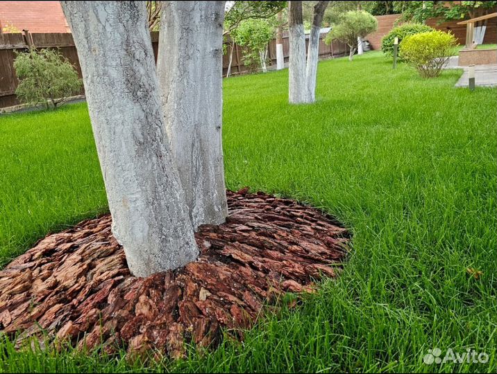 Рулонный газон укладка