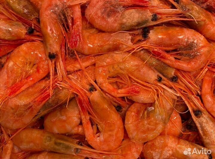 Креветка северная. Свежезамороженные. Опт