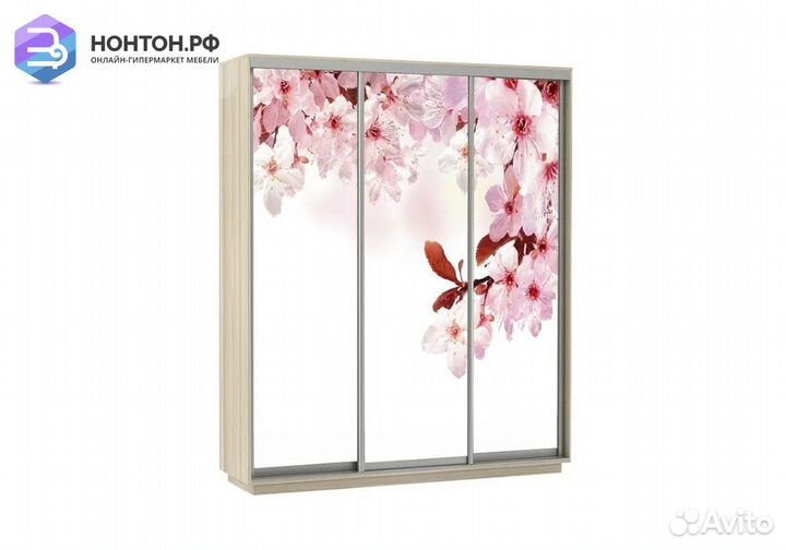 Шкаф-купе Нонтон 3-дверный ясень шимо светлый / са