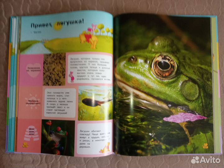 Книга Энциклопедия для детей