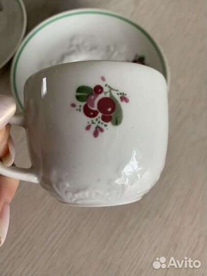 Кофейные пары вербилки СССР