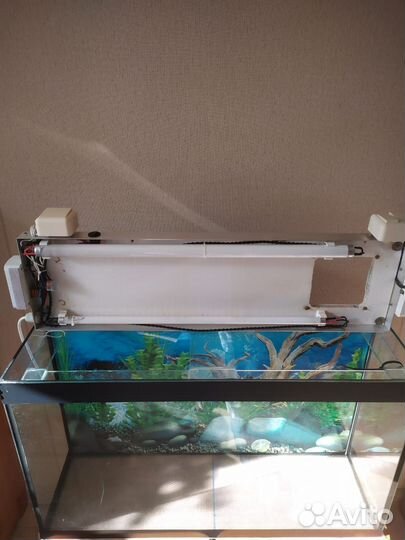 Аквариум