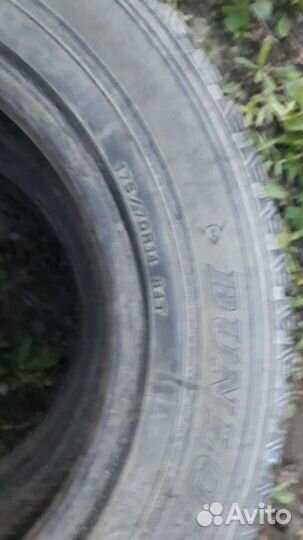 Dunlop D87M 175/70 R14