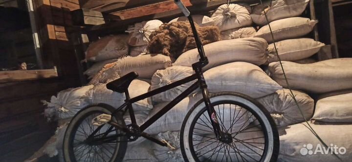 BMX radio darko 2020