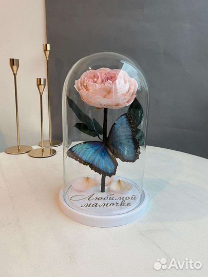 Вечная роза в колбе