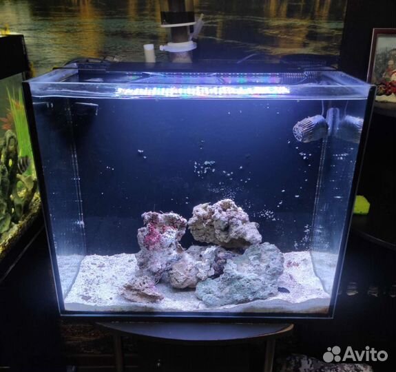 Аквариум
