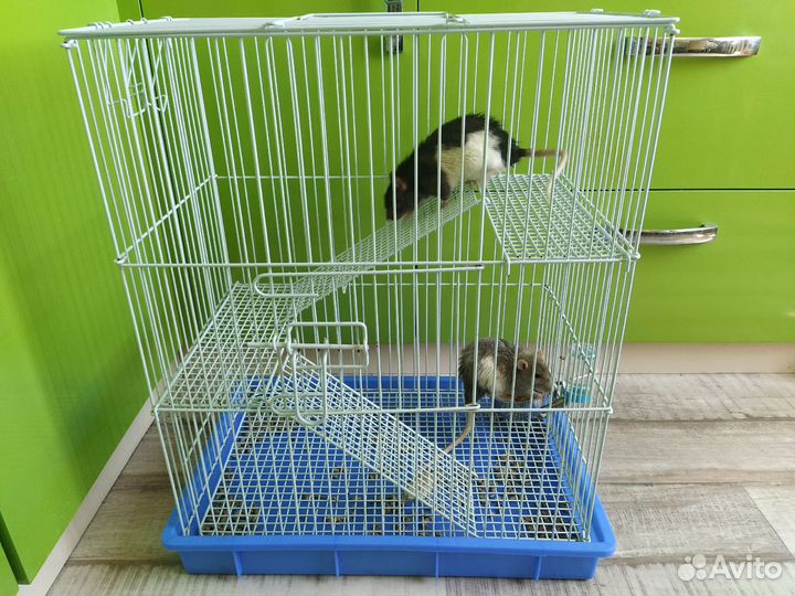 Клетка для грызунов