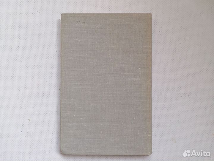 Маршал Тухачевский. Воспоминания друзей 1965