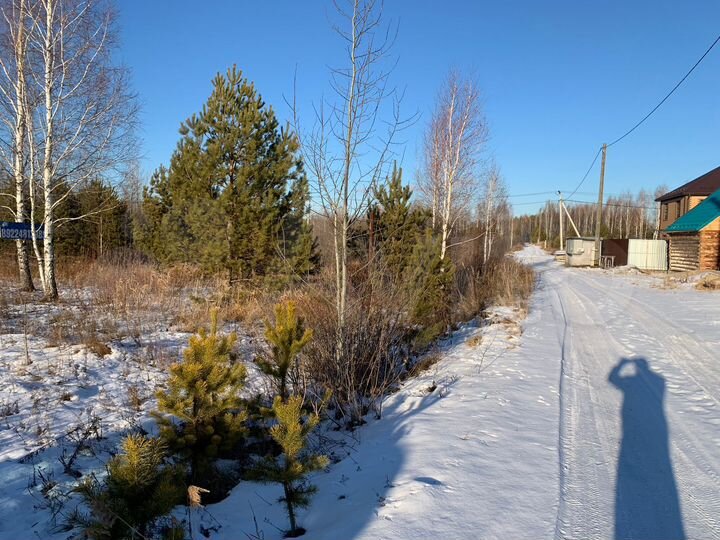 Участок 10 сот. (СНТ, ДНП)